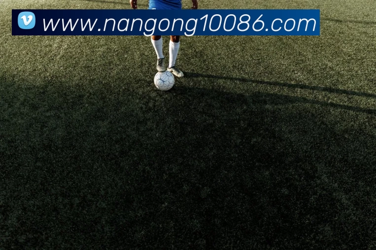 南宫体育服务体系